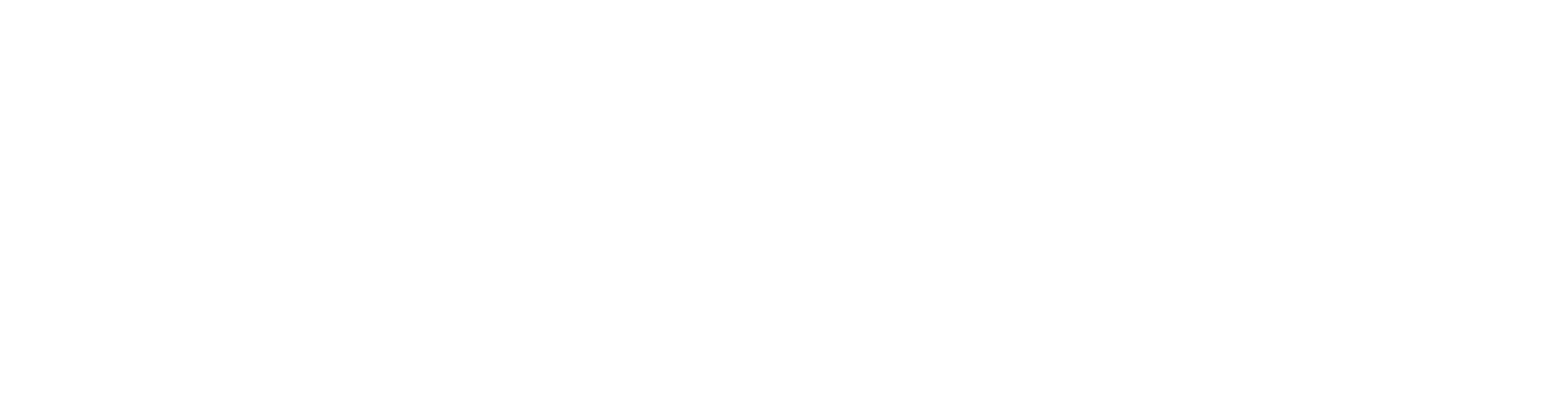 Logo DroneShots