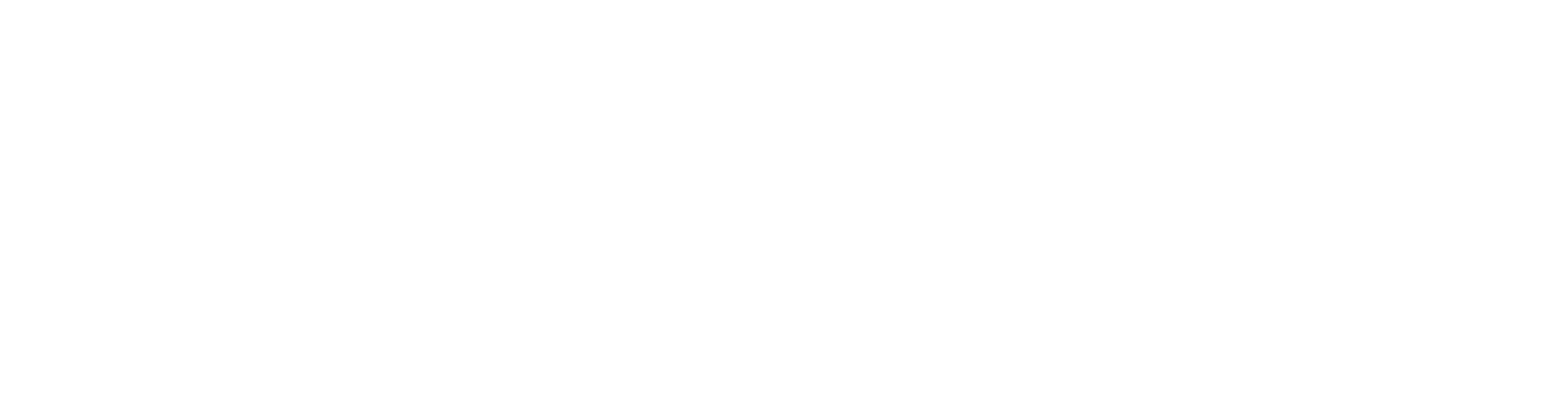 DroneShots Logo